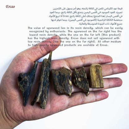 Chinese Natura Kynam Agarwood （Qinan Oud） - Boasts a Distinctly Unique Aroma, Ideal for Home Incense, Meditation & More | Sustainable Harvesting (10g Experience Pack - Sink Grade - Block) - color: 10g Experience Pack - Sink Grade - Block