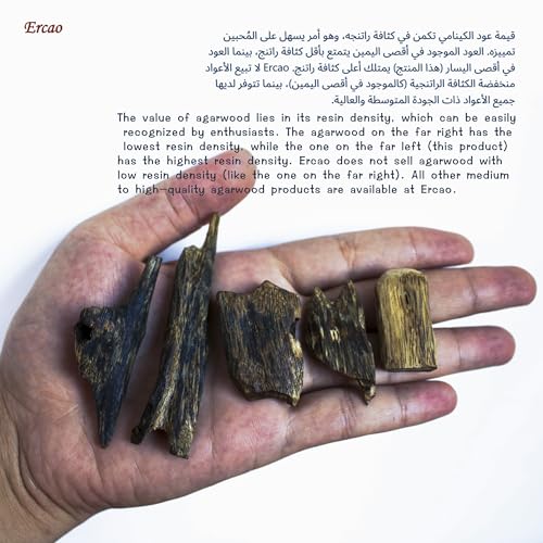 Chinese Natura Kynam Agarwood （Qinan Oud） - Boasts a Distinctly Unique Aroma, Ideal for Home Incense, Meditation & More | Sustainable Harvesting (Weight 20g -Upper Medium Grade -Block) - color: Weight 20g -Upper Medium Grade -Block