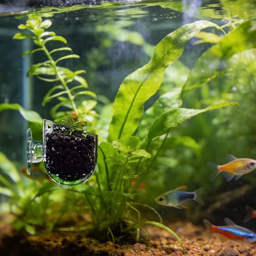 6 Pcs Aquarium Plant Holder Universal Transparent ABS Plastic Fish Tank Plant Holder with Suction Cups for Aquarium Decoration Accessories