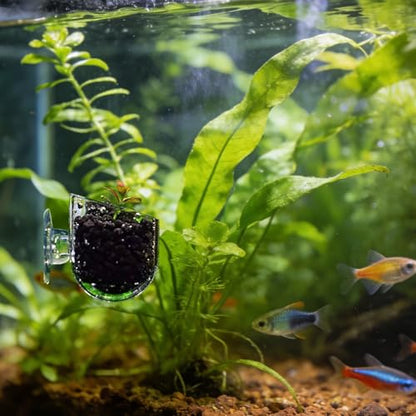 6 Pcs Aquarium Plant Holder Universal Transparent ABS Plastic Fish Tank Plant Holder with Suction Cups for Aquarium Decoration Accessories
