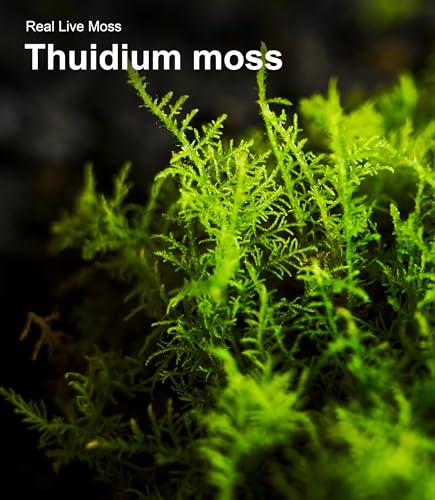 Live Moss 3-Pack for Reptile Enclosures & Terrariums,Fresh Reptiles Substrate | Mixed Varieties, Moisture-Holding Layer, Humid Hide Accent, Forest-Floor Look, Easy to Trim, For Geckos, Turtles, Snakes