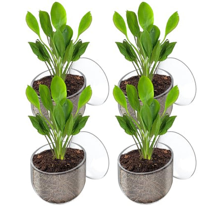 Pawfly Aquarium Plant Holder with Suction Cup, Clear Plastic Fish Tank Planting Holder, Fish Tank Plant Pot for Aquascape Decoration, Aquarium Planter Cup, 4 Pcs.