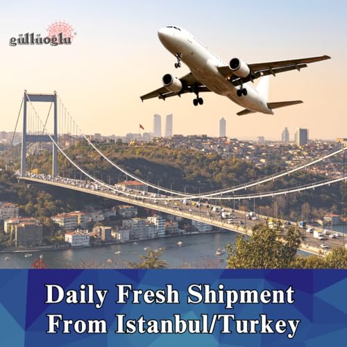 Gulluoglu's famous Turkish Pistachio Baklava 42 pieces (3.3 lb-1500 gr) - size: 3.3 Pound (Pack of 1)