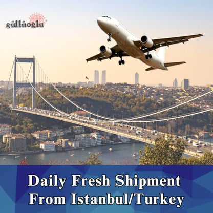 Gulluoglu's famous Turkish Pistachio Baklava 42 pieces (3.3 lb-1500 gr) - size: 3.3 Pound (Pack of 1)