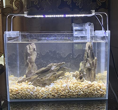 AWXZOM Natural Dragon Rock Carefully Selected Mixed Sizes, Decorative Aquarium Rocks, Aquarium Stones for Fish Tank (7.1lb-Large) - size: 7.1lb-large