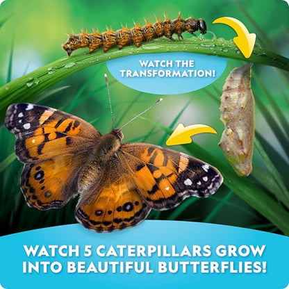 National Geographic Ultimate Butterfly Growing Kit – Butterfly Habitat Kit with Voucher to Redeem 5 Caterpillars (S&H Not Included), Glow-in-The-Dark Figures, Hands-On Activity, Outdoor Toys - style: Ultimate Butterfly Kit