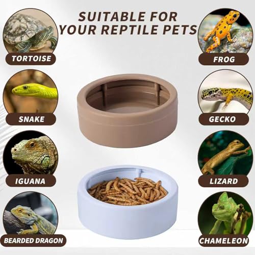 3 Pack Anti-Escape Reptile Food Dish Bowls, Plastic Worm Water Dish | Mealworm Feeder Cups for Small Gecko, Lizards, Bearded Dragon, Chameleon 2.83" W x 2.83" D x 0.98" H, 3 Colors