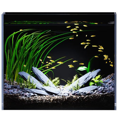 3 Gallon Glass Fish Tank Rimless with Black Background Rectangular Tank | Ultra Clear Low-iron Glass, 5 mm Thick, 92% Light Transmission, for Betta Shrimp Guppy Snail, Included Leveling Mat - size: 3 gallon tank only