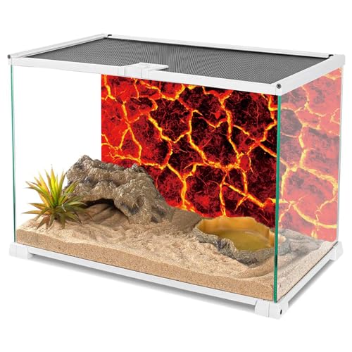 YongFoto Reptile Terrarium Background 60x24 inch Reptile Tank Background Heat Red Cracked Volcanic Eruption Lava Burning Ground Background Bearded Dragon Habitat Fish Tank Aquarium Background Backdrop - size: 60x24in/150x60cm