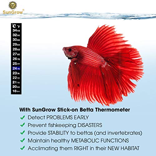 SunGrow Betta Fish Tank Thermometer Stick On, Aquarium Temperature Sticker Strip, 5.2 x 0.7 Inches, Green & Blue Temperature Indicator, Amphibian and Reptile Thermometer Sticker, Black, 1 Pc - size: 1 Pc Thermometers
