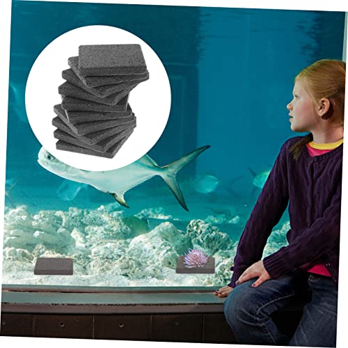 Toddmomy 10pcs Base Mount Support Bracket Ceramic Base for Fish Aquarium Freshwater Tank