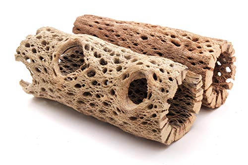 3 to 48 Inch All Natural Teddy Bear Cholla Wood Extra Hollow Large Untreated Organic Aquarium Driftwood Decoration Chew Toy Shrimp Crab Multi-Quantity (2 Pieces, 6 inch) - size: 2 Pieces, 6 inch