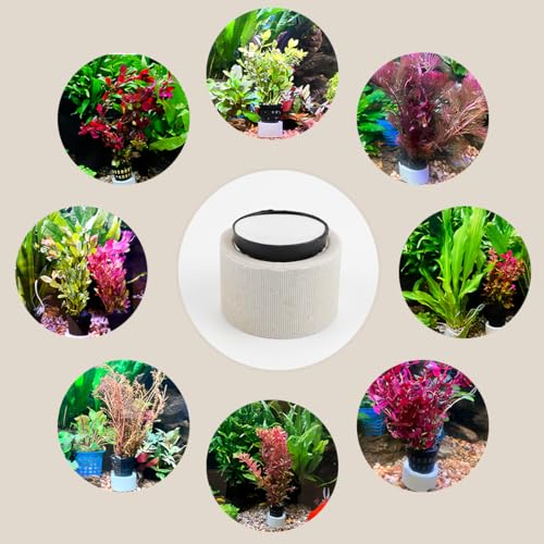 Aquatic Plants Fixed Set 5pcs Aquarium Plant Weights Pot and 5pcs Planting Cup with 5pcs Fixing Cottons Aquarium Accessories (15)