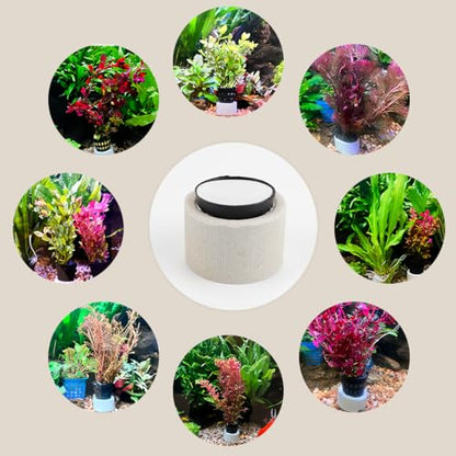 Aquatic Plants Fixed Set 5pcs Aquarium Plant Weights Pot and 5pcs Planting Cup with 5pcs Fixing Cottons Aquarium Accessories (15)
