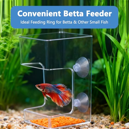 Square Fish Feeder Box No Mess Aquarium Food Catcher Tank Accessories Feeding Tube Holder for Betta Fish Blood Worm Food Box for Turtle Tank and Aquarium Feeding Control