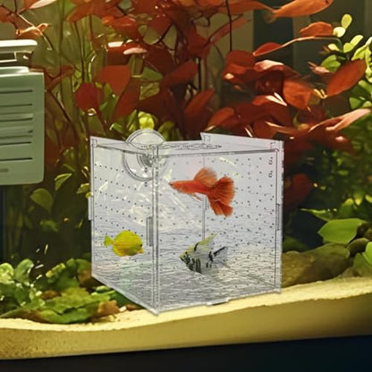 Fish Breeder Box Acrylic Fish Separator for Aquarium | Stable Container Breeding Holder Hatchery Incubator for Nursery Egg Fry Shrimp Betta Angelfish Acclimation