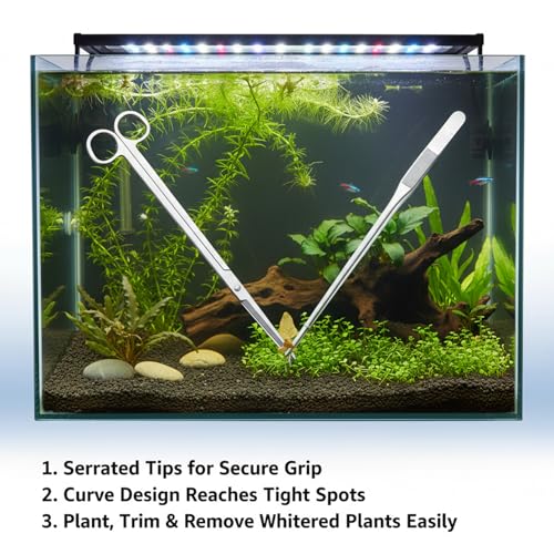3Pcs Aquascaping Tools, Stainless Steel Aquarium Plant Tools with Straight & Curved Tweezers and Curved Scissors, for Aquatic Plant Care & Tank Maintenance, Terrarium