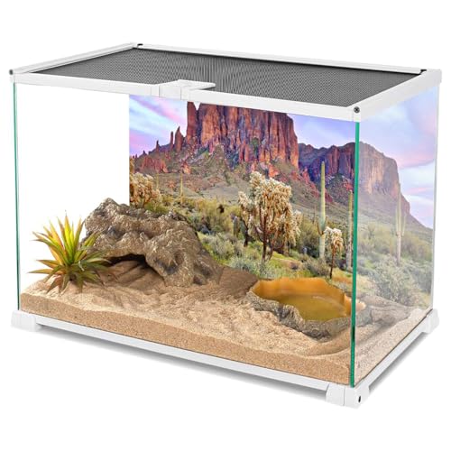AWERT 36x24 inches Terrarium Background Blue Sky Cloud Mountain Huge Cactus Joshua Trees Oasis Gobi Reptile Habitat Background Vinyl - size: 36x24in/90x60cm