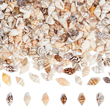 PH PandaHall 1400-1500pcs Tiny Sea Shells 7-12mm Tiny Crushed Shells Miniature Shell NO Hole Seashells Ocean Spiral Seashells for Resin Crafting Candle Home Party Wedding Fish Tank Vase Filler - color: 1400pcs, size: Length 7-12mm