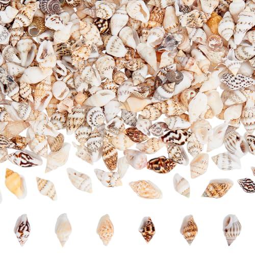 PH PandaHall 1400-1500pcs Tiny Sea Shells 7-12mm Tiny Crushed Shells Miniature Shell NO Hole Seashells Ocean Spiral Seashells for Resin Crafting Candle Home Party Wedding Fish Tank Vase Filler - color: 1400pcs, size: Length 7-12mm