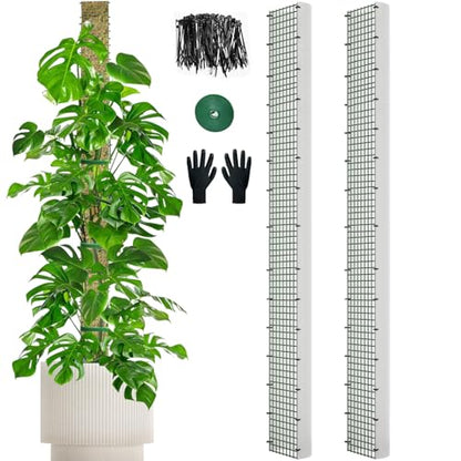 70" Metal Moss Pole, D Shape Sphagnum Moss Pole, Moss Poles for Climbing Plants, Monstera, Indoor Climbing Plants (2Pcs 70") - style: 2Pcs 70"