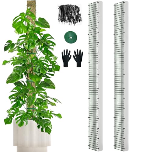 70" Metal Moss Pole, D Shape Sphagnum Moss Pole, Moss Poles for Climbing Plants, Monstera, Indoor Climbing Plants (2Pcs 70") - style: 2Pcs 70"