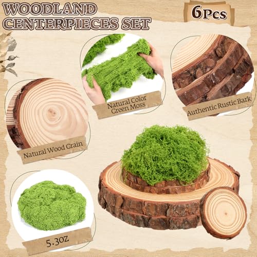 Nuanchu 7 Pack Wood Table Centerpieces with Rustic Wood Slices and Artificial Fake Green Moss for Wooden Fairy Wedding Woodland Table Decor Ideal DIY Crafts (2.4-2.8'',5.1-5.5'',7.9-9.1'') - size: 2.4-2.8'', 5.1-5.5'', 7.9-9.1''
