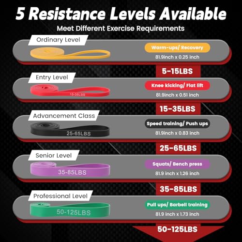 Pull Up Assistance Bands, 5 Levels Resistance Bands for Working Out, Exercise Bands Resistance for Men & Women, Pull Up Bands for Body Training, Muscle Building, Physical Therapy, Home & Gym Fitness