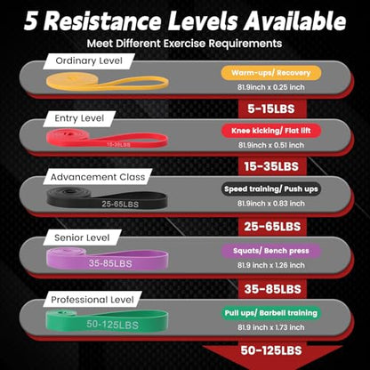 Pull Up Assistance Bands, 5 Levels Resistance Bands for Working Out, Exercise Bands Resistance for Men & Women, Pull Up Bands for Body Training, Muscle Building, Physical Therapy, Home & Gym Fitness