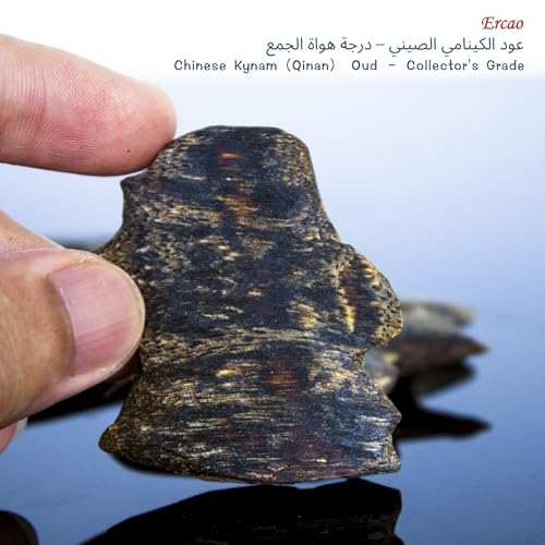 Chinese Natura Kynam Agarwood （Qinan Oud） - Boasts a Distinctly Unique Aroma, Ideal for Home Incense, Meditation & More | Sustainable Harvesting (10g Experience Pack - Sink Grade - Block) - color: 10g Experience Pack - Sink Grade - Block