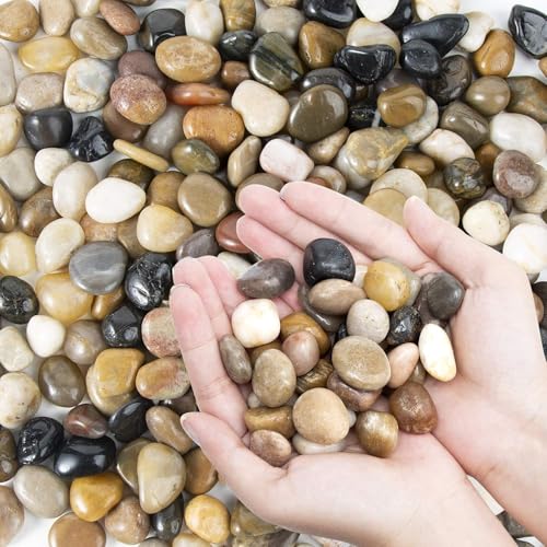 Pebbles Polished Gravel, Natural Polished Mixed Color Stones, 0.5-1.2 inch Small Decorative River Rock Stones 5 Pounds (80-Oz) - color: Mixed Color, size: 5 LB