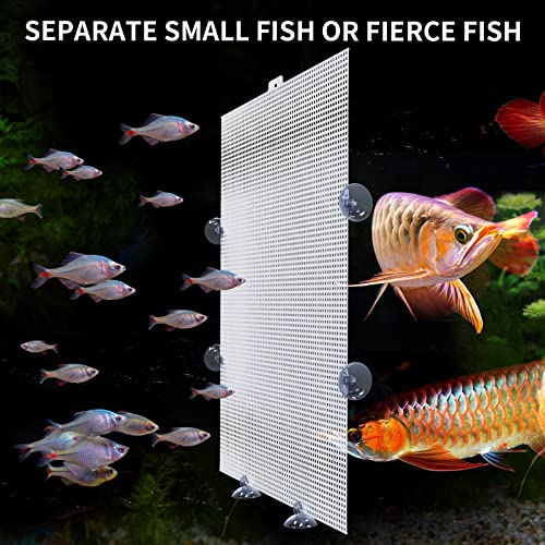 2 Pack Fish Tank Divider with Suction Cup, Aquarium Divider Plastic Cuttable Grid Plate for Juvenile Fish Separator DIY Designed Clear Easy to Bent Cut and Assemble, 10x13in - size: 10x13in