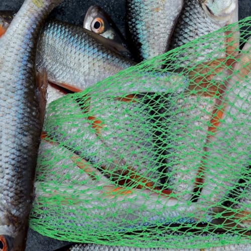 HEMOTON Fishing Net Replacement Thick Nylon Mesh Sturdy Fish Catching Net Head Lightweight Accessory for Freshwater and Fly Fishing