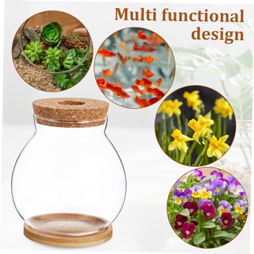 Toyvian Desktop Glass Fish Bowl with Lid Small Hydroponic Betta Tank Includes Mat for Easy Placement for Home Office Dining Table Decoration