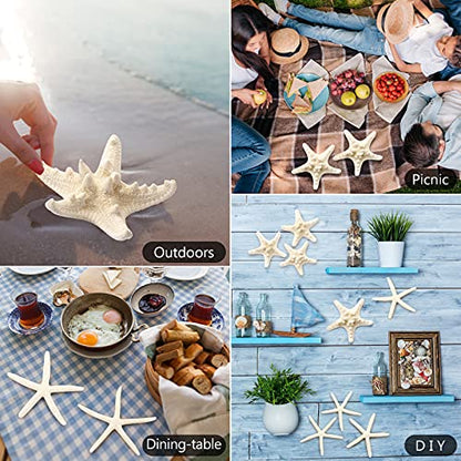 12 PCS Starfish | 2.5-6 Inch Starfish Decor | Natural Bulk Starfish Shells Perfect for Crafts Making Beach Theme Party Wedding Decoration, Home Wall Decor, Christmas Ornaments, Fish Tank