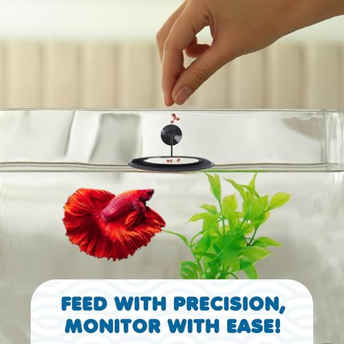 SunGrow Betta Feeding Ring, Prevent Water Turbulence from Washing Food into Filter, Practical Round Floating Food, Suitable for Guppy, Goldfish and Other Small Fish (1 Pc)