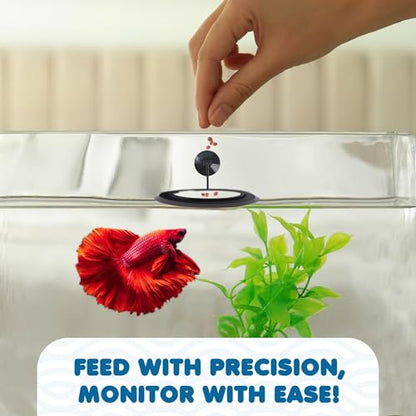 SunGrow Betta Feeding Ring, Prevent Water Turbulence from Washing Food into Filter, Practical Round Floating Food, Suitable for Guppy, Goldfish and Other Small Fish (1 Pc)