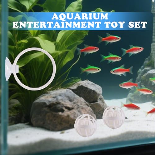 Betta Fish Toys, 2 PCS Fish Exercise Ring and Nitrifying Balls Set, Betta Mirror Toy Set, Feeding Ring with Suction Cup, Fishing Tank Accessories for Gifts (White) - color: White
