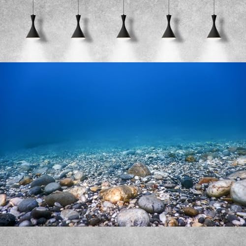 Underwater Aquarium Background Ocean Seabed Underwater Rocks and Pebbles Fish Tank Background Sunlight Underwater Life Terrarium Background Sunbeams Underwater Rocks Aquarium Backdrop 24x16in - color: Blue, size: 24(W)x16(H)in