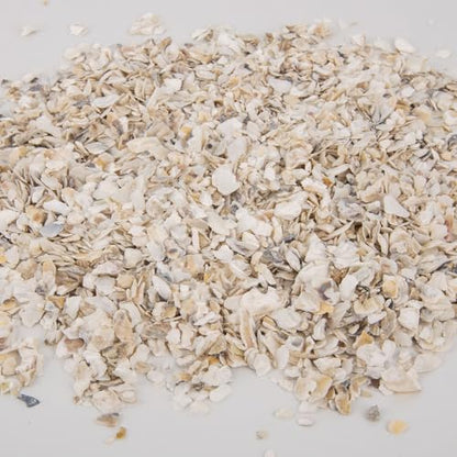 QEQEKAKA Crushed Oyster Shells About 2LB (880g/31OZ) Contains Calcium Small Natural Crushed Shells Bulk