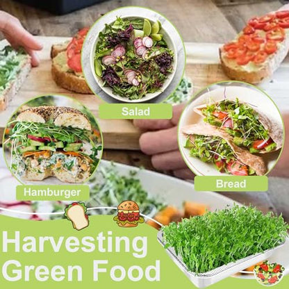 Microgreens Growing Kit 2-Tier 10.4 Inch Sprouting Trays | Stainless Steel Seed Sprouter with 0.3mm Encrypted Silicone Mesh,Beans Broccoli Alfalfa and Wheatgrass Sprouts Growing Kit - size: 10.4"L × 7.67"W Tray