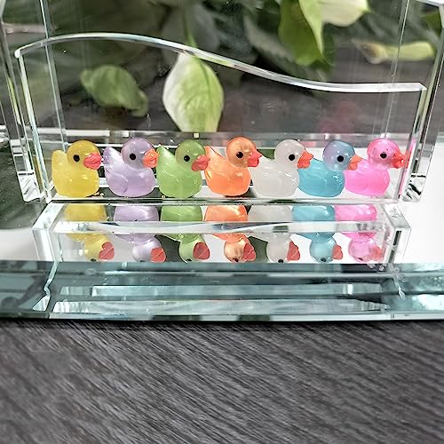 Cidinge 60 Pcs Mini Resin Ducks Luminous Tiny Ducks Miniature Duck Glow in The Dark for DIY Garden Dollhouse Duck Accessories Micro Landscape Aquarium Party Decor - style: Luminous Ducks