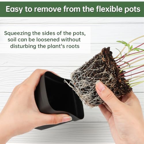 60 Pcs Nursery Pots 2.7 Inch, Plastic Seed Starting Pot with Drainage Holes, Sturdy Seedling pots for Planting, Cuttings (Black) - color: Black, size: 2.7 Inch-60P