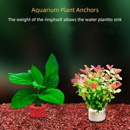 30 Pcs Aquatic Water Plant Fixed Rings, Aquarium Plant Anchors Fish Tank Plant Holder Rings Gravity Ring Fixed Cup, Landscape Ceramic Plant Pot Ring Tool Aquarium Decoration (30)