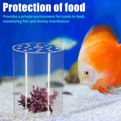 DONGKER Coral Feeder Cover, Transparent Acrylic Coral Breeding Protection Cover Avoid Food Floating Around for Aquarium Fish Tank(80mm,100mm,120mm) - size: CFC-80