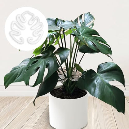 2 Pack Plant Stem Support,Plastic Monstera Plant Support, Climbing Houseplant Stem Supports, Stem Hook Growth Accessories for Plant - size: 2Pack-5.9in