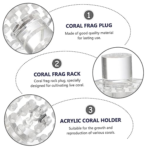 Happyyami 10pcs Coral Button Bracket Fish Tank Stand Coral Plugs Coral Bracket Baseboard Trim Coral Rack Magnetic Fish Tank Coral Rack Fish Tank Accessories Rounde Equipment Aquarium Acrylic