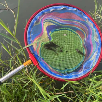 FishingNet2PieceSetRetractableNet forCatchingFrogs andTadpoles - color: Blue + Pink, size: 68.5
