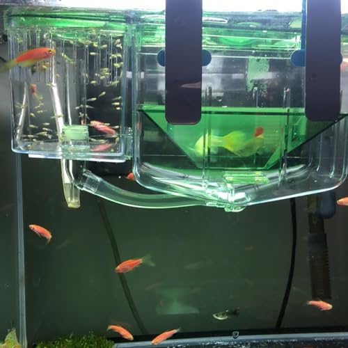 3pcs Box Aquarium Breeding Tank Isolated Breeding Tank Fish Hatching Boxes Breeding Tank for Fish