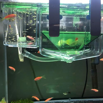3pcs Box Aquarium Breeding Tank Isolated Breeding Tank Fish Hatching Boxes Breeding Tank for Fish